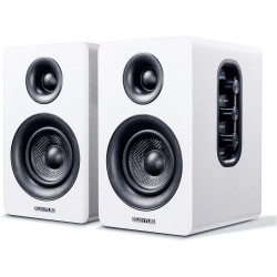 Altavoz Sanyun Sw208 3...